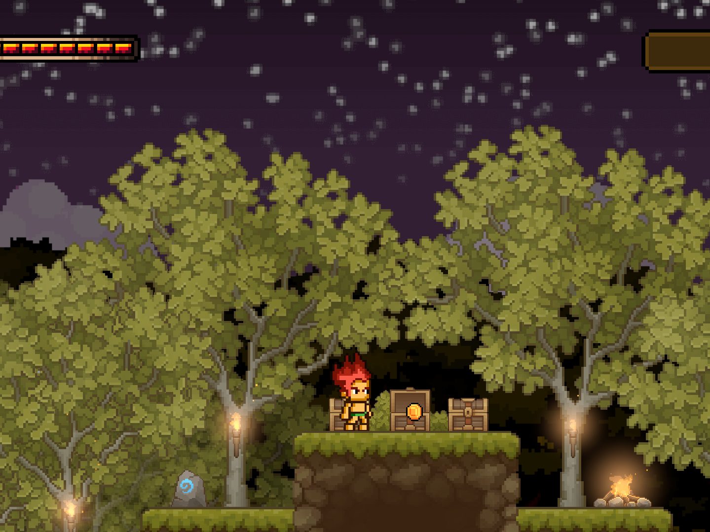 Treasure in the forest